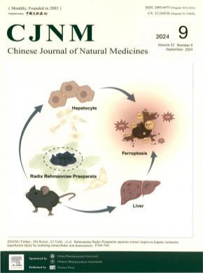 中国天然药物期刊